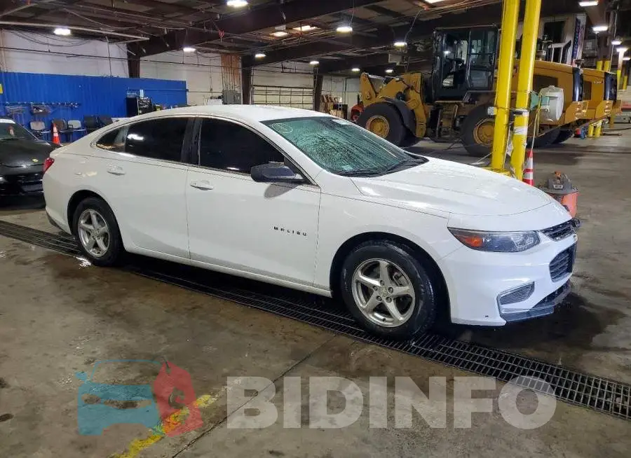 1G1ZB5ST8HF216587 Photo# 4