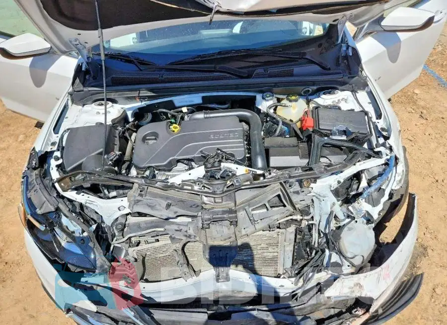 1G1ZD5ST4RF162684 Photo# 11