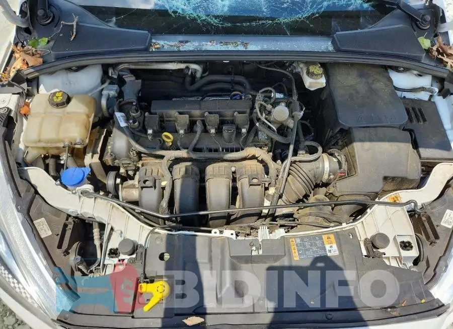 1FADP3E28JL291779 Photo# 11