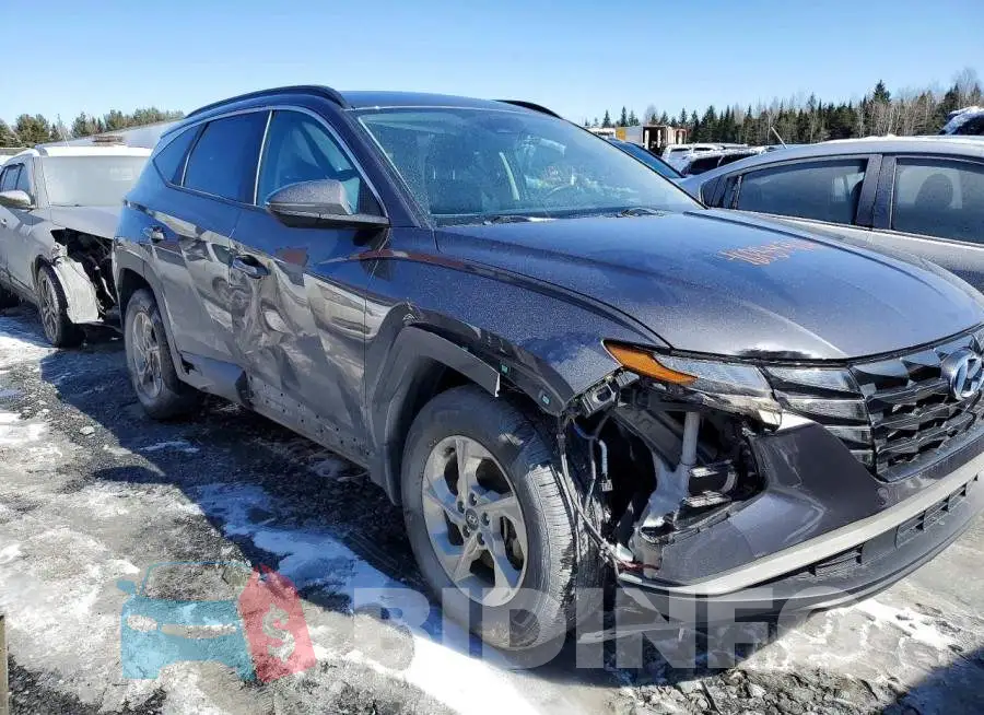 KM8JBCDE2RU344467 Photo# 4