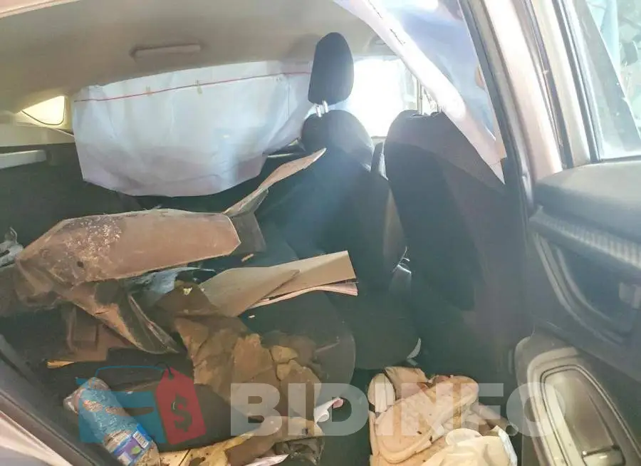 4S3GTAB67H3705787 Photo# 10