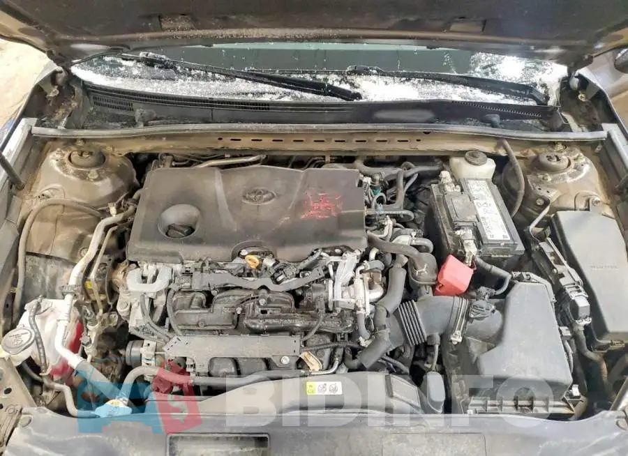 4T1C11AK2LU969811 Photo# 11