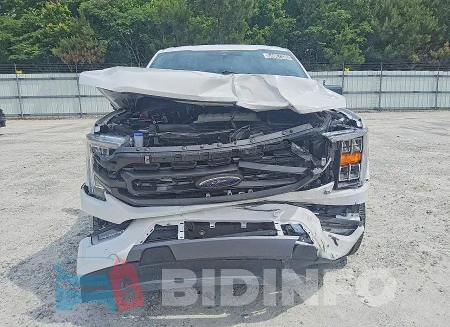 1FTEW1C51MKF11874 Photo# 5
