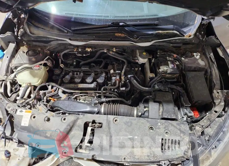 19XFC1F30HE204731 Photo# 11