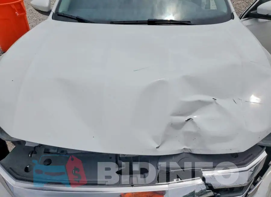 1VWSA7A39MC007067 Photo# 11