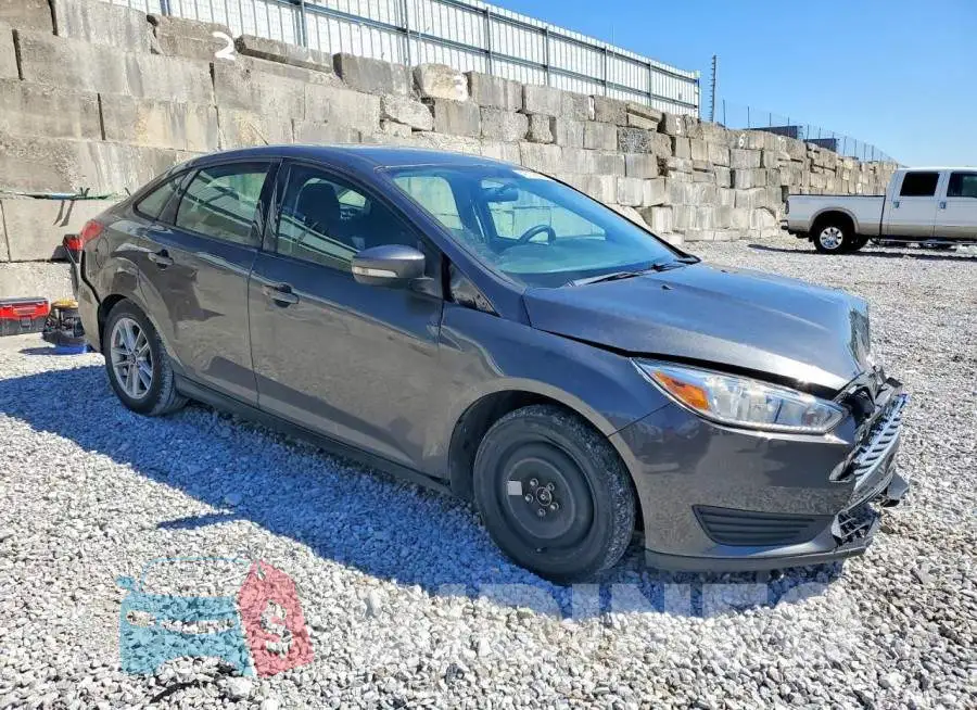 1FADP3F24HL243608 Photo# 4