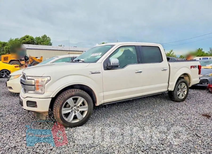 1FTEW1EG8JFB81864 Photo# 1