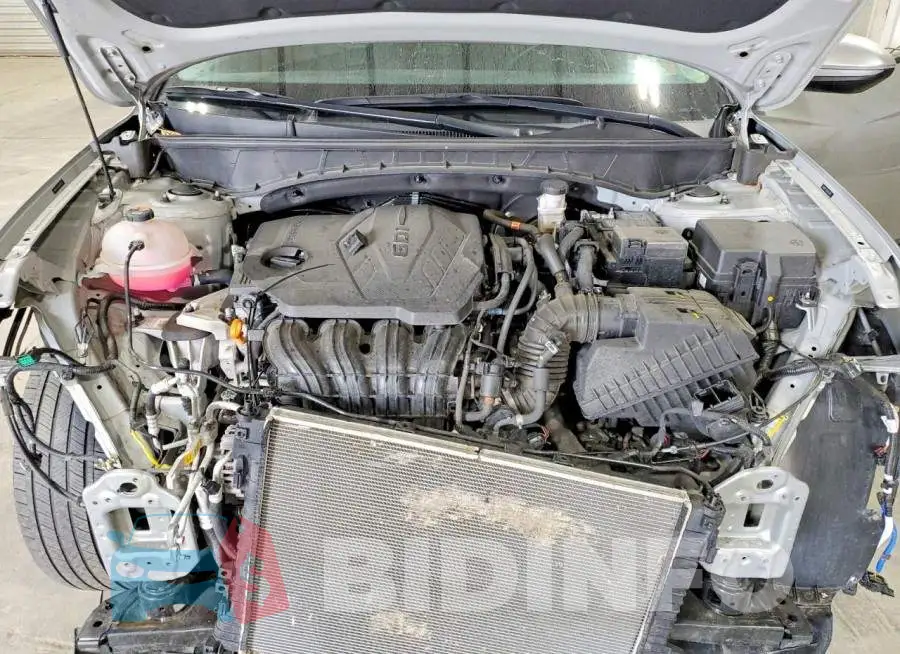 5NMJFCDE6RH328952 Photo# 11
