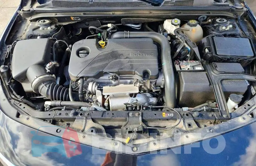1G1ZD5ST7RF227222 Photo# 11