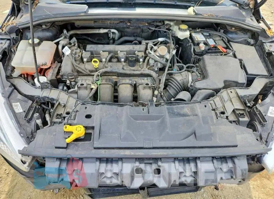 1FADP3K23HL280171 Photo# 11