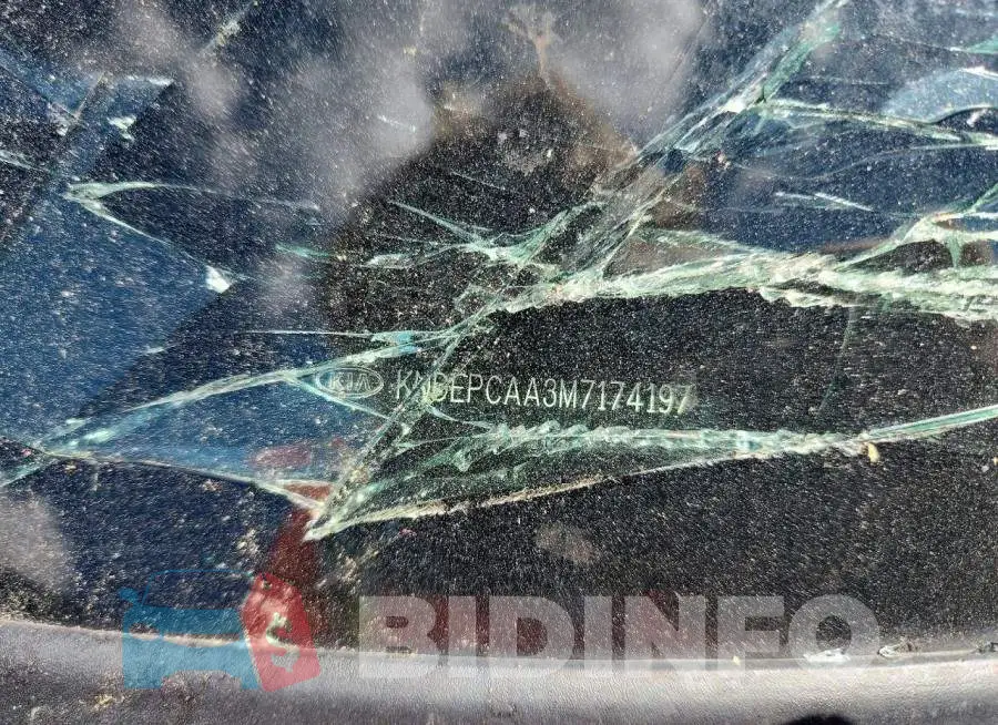 KNDEPCAA3M7174197 Photo# 13