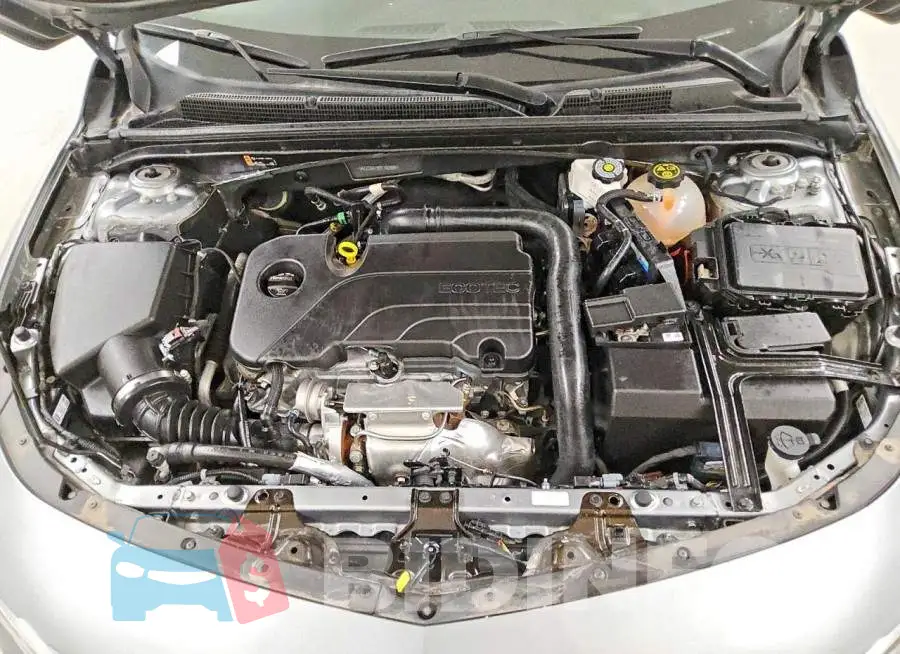 1G1ZD5ST5RF183964 Photo# 11