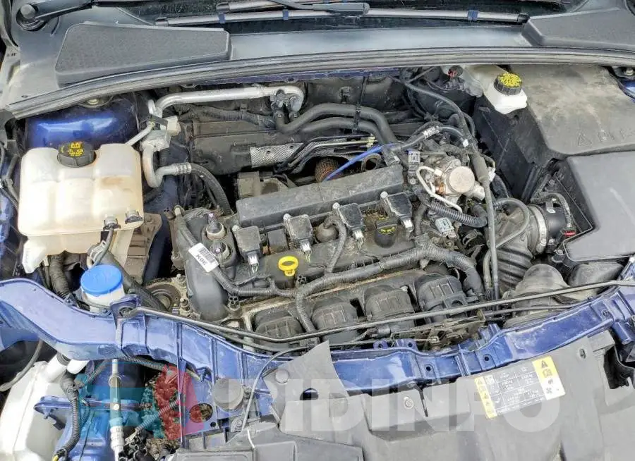 1FADP3M24HL342559 Photo# 11