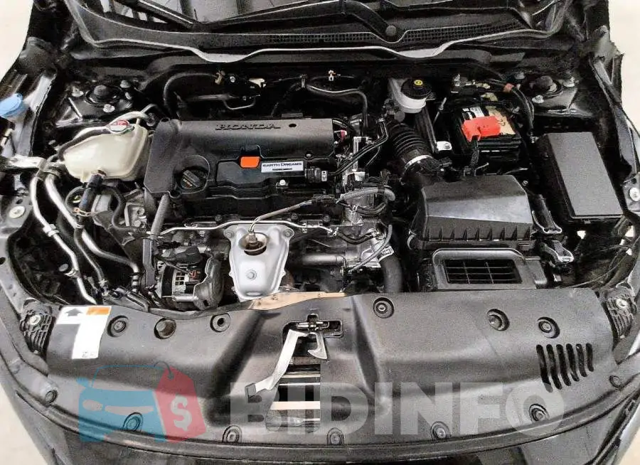 19XFC2F69LE210861 Photo# 11