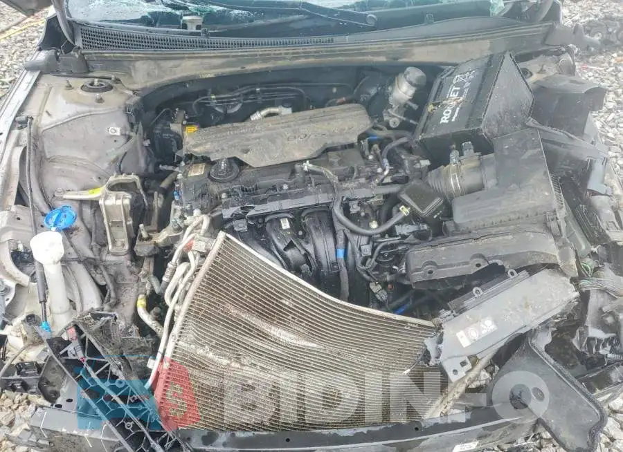 KMHLM4DG1RU657830 Photo# 11