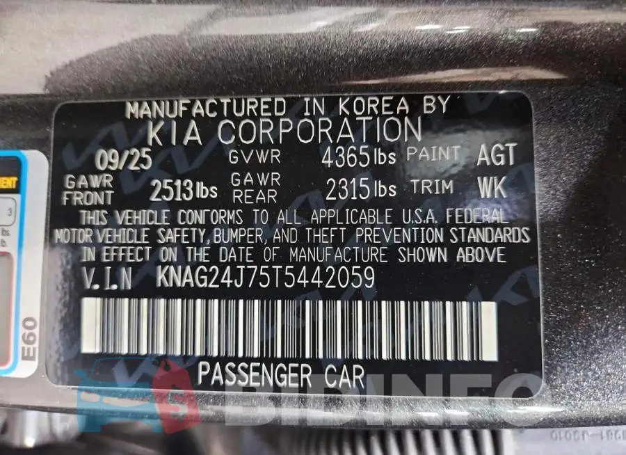 KNAG24J75T5442059 Photo# 12