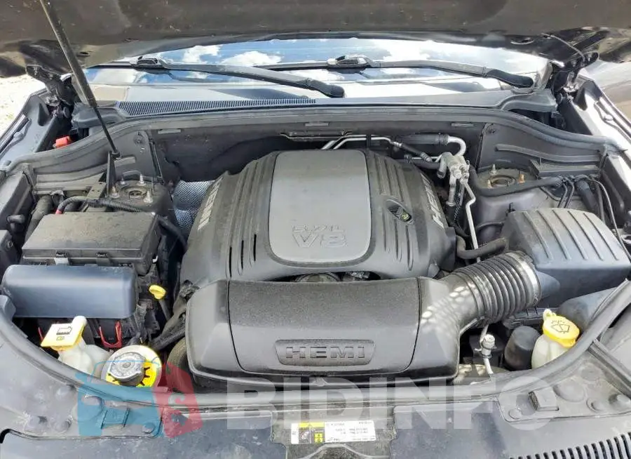 1C4SDJCT9KC549349 Photo# 11
