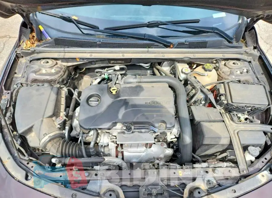 1G1ZD5ST3LF053883 Photo# 11