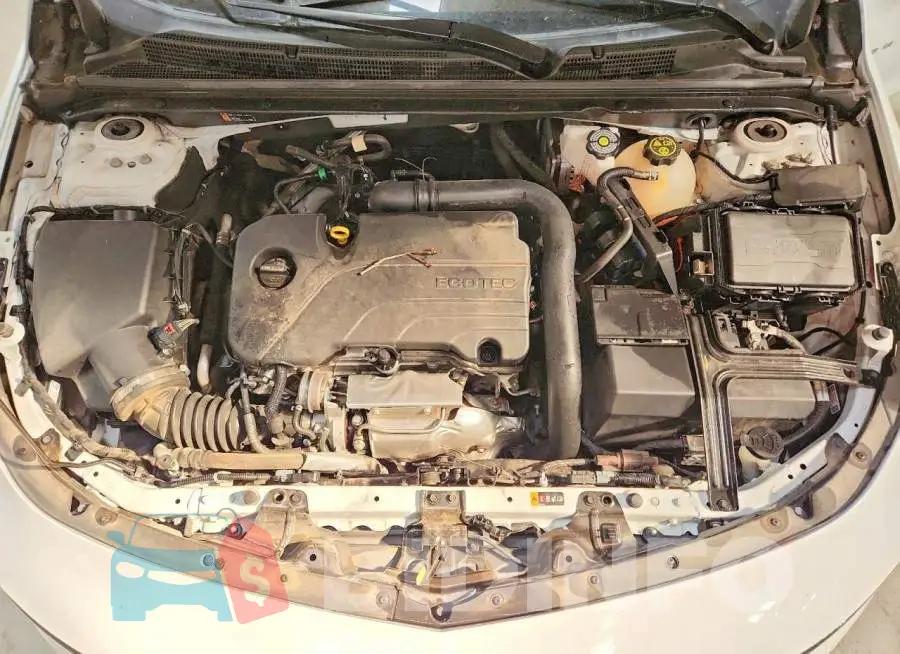 1G1ZD5ST6RF130707 Photo# 11