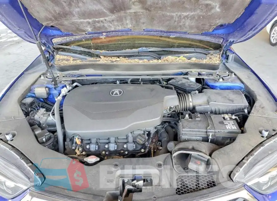 19UUB2F63JA010764 Photo# 11
