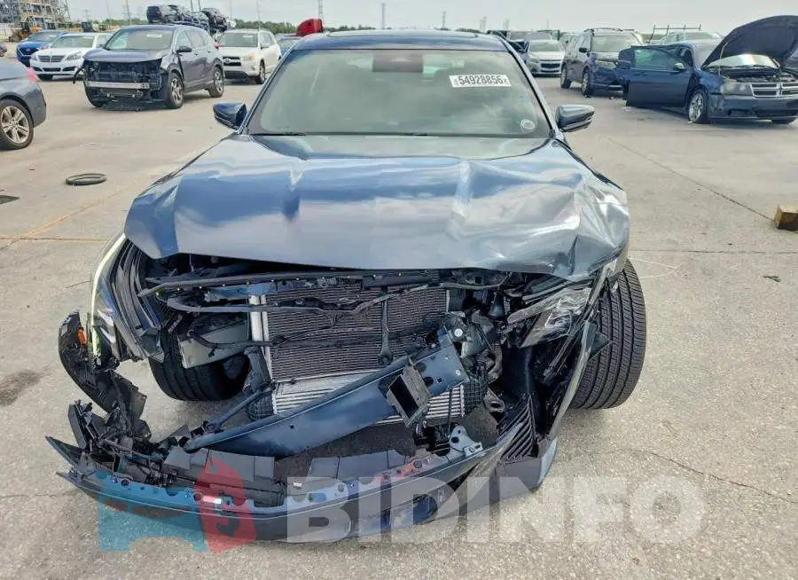 1G6DN5RK3S0106775 Photo# 5