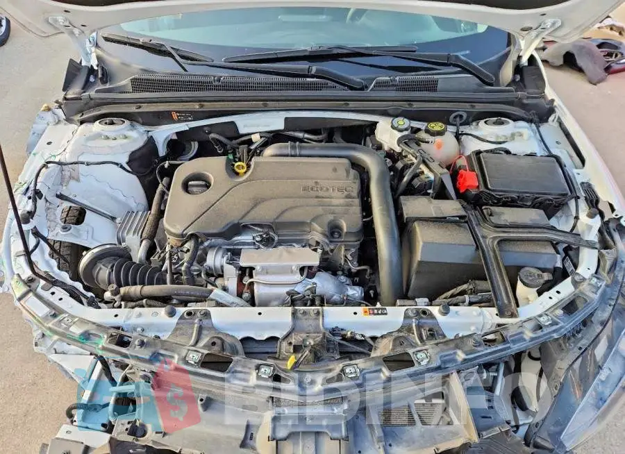 1G1ZD5ST1RF124846 Photo# 11