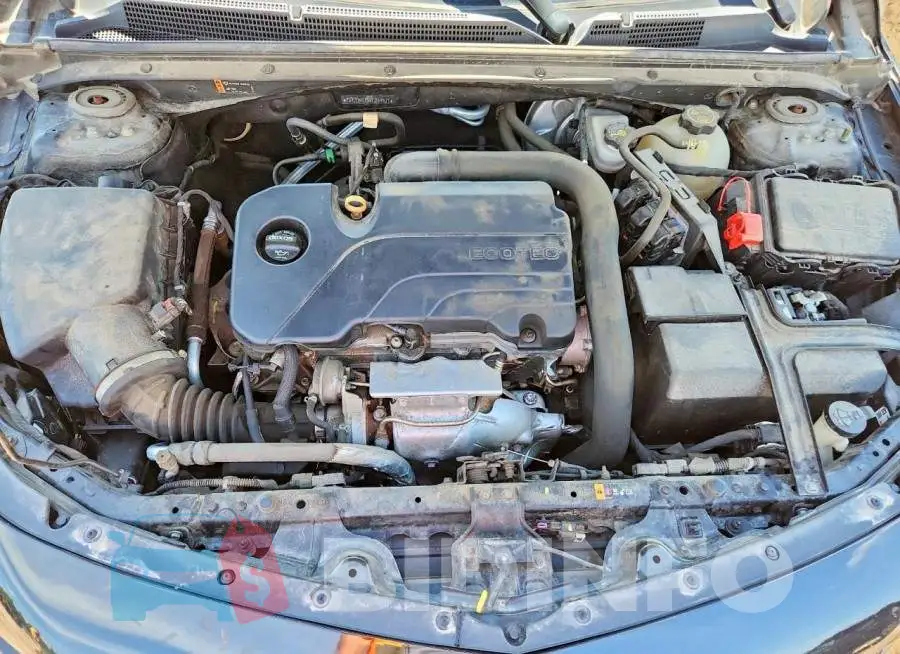 1G1ZD5ST3JF239971 Photo# 11