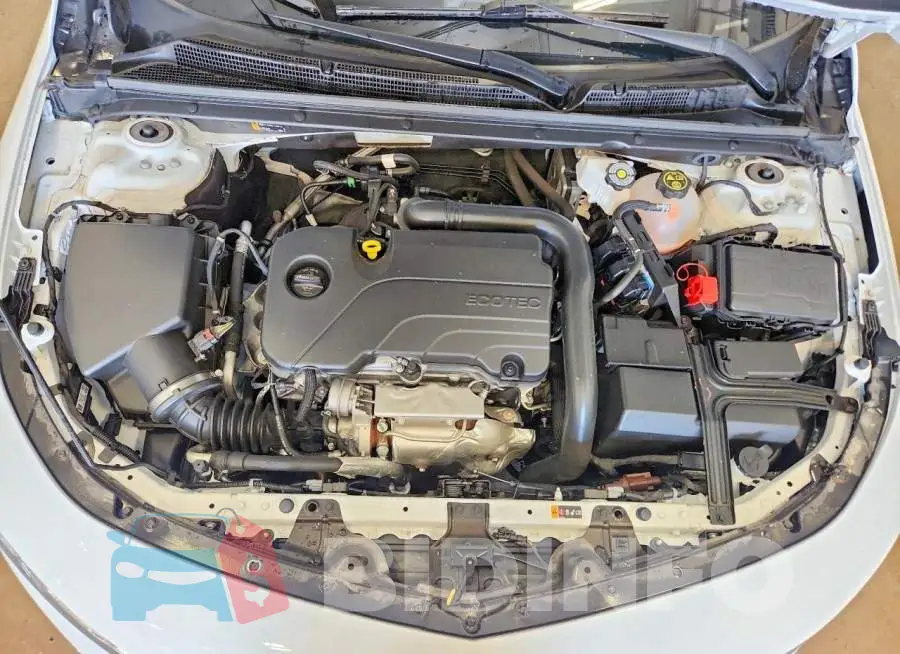 1G1ZB5ST3RF150287 Photo# 11