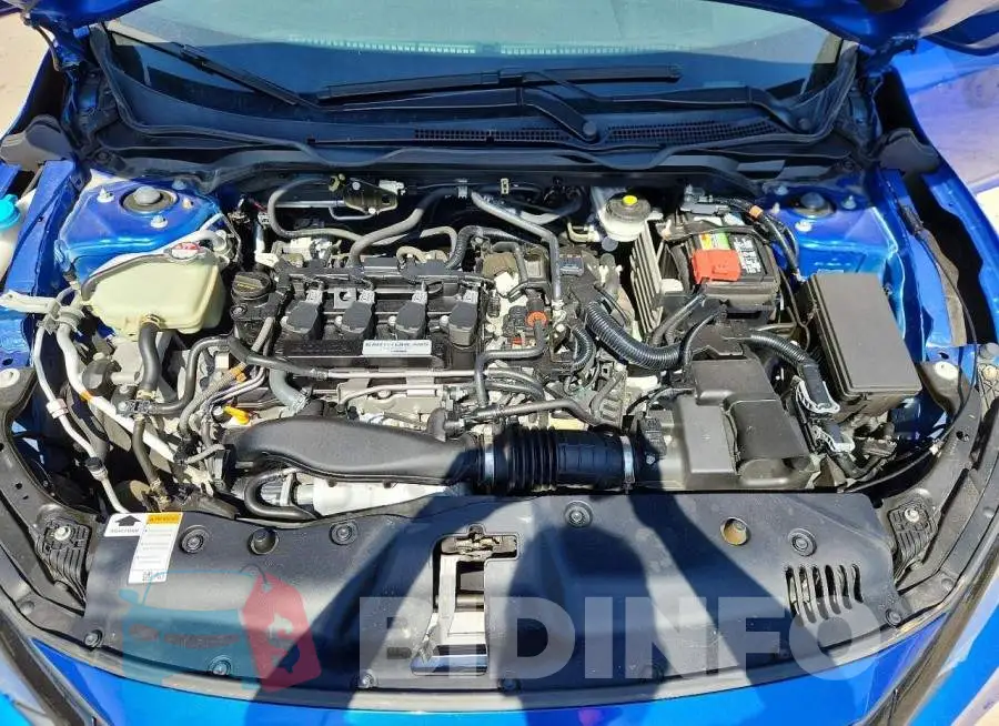 19XFC1F36LE208081 Photo# 11