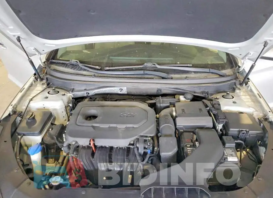 5NPE24AF7KH784242 Photo# 11