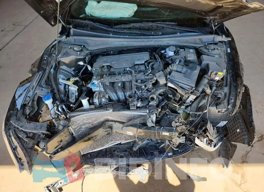 KMHLM4DG3SU018970 Photo# 11