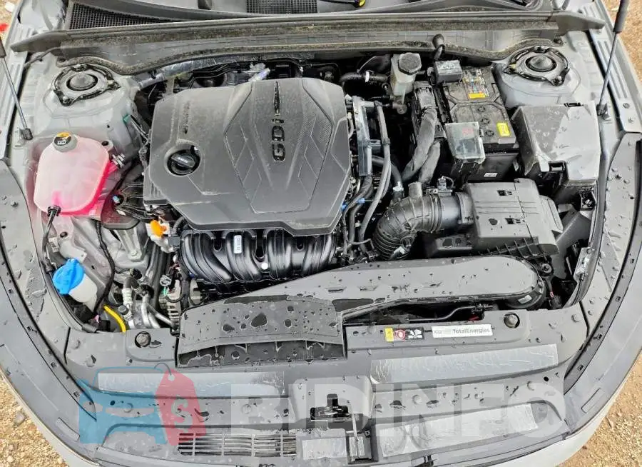 KNAG64J76T5465175 Photo# 11