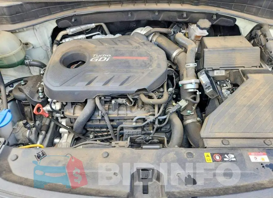 KNDPR3A62M7851903 Photo# 12