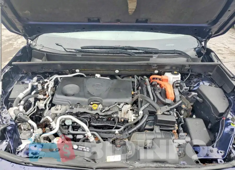 JTMCB3FV0MD047958 Photo# 12