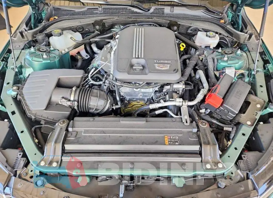1G6DB5RK9S0102383 Photo# 11