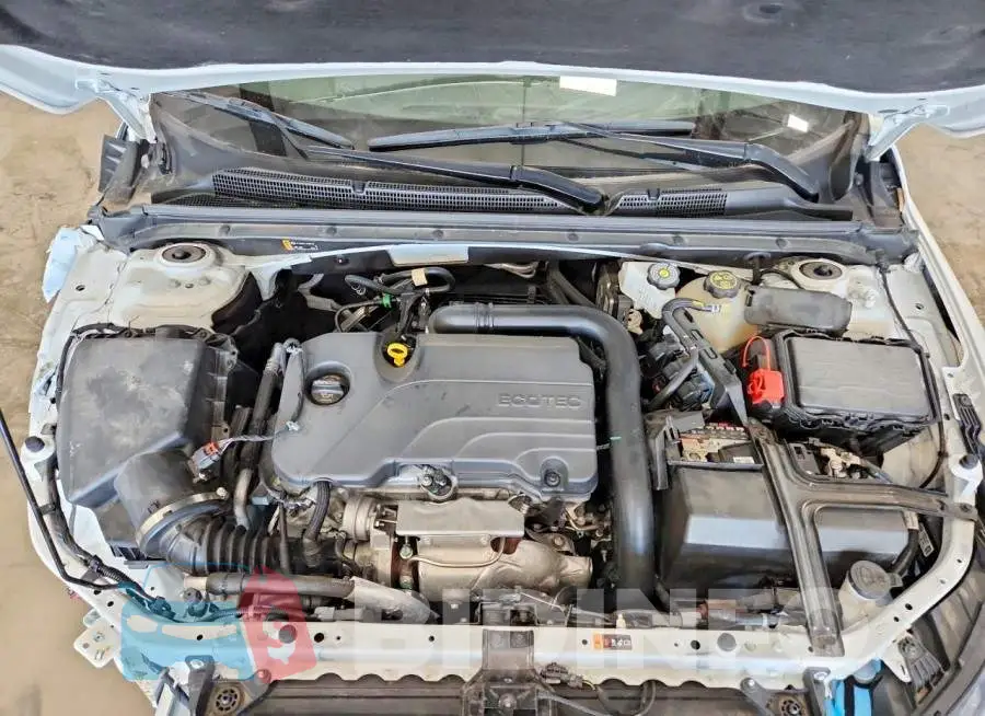 1G1ZD5ST6RF167823 Photo# 11