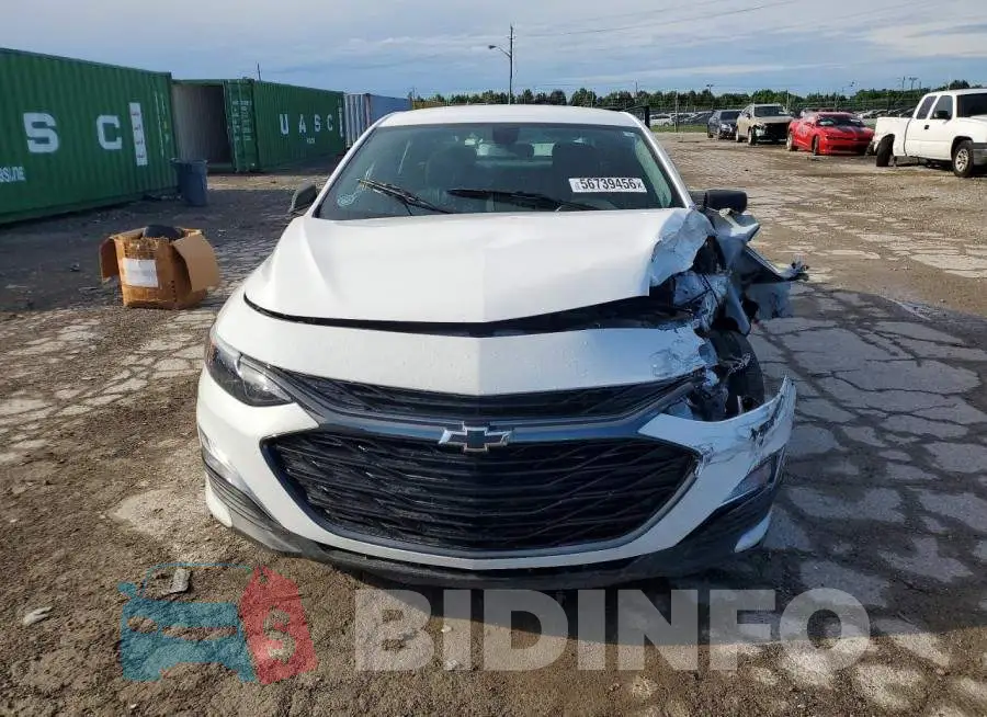 1G1ZG5ST1KF206573 Photo# 5
