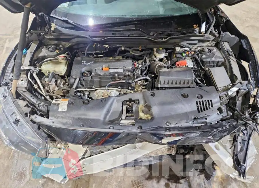 2HGFC4B61KH309616 Photo# 11