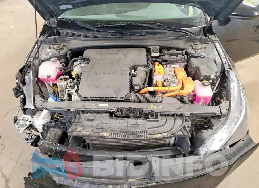 KMHLM4AJ3PU080960 Photo# 11