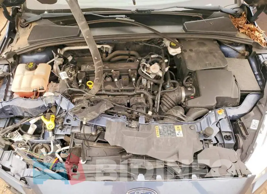1FADP3N25JL296177 Photo# 11