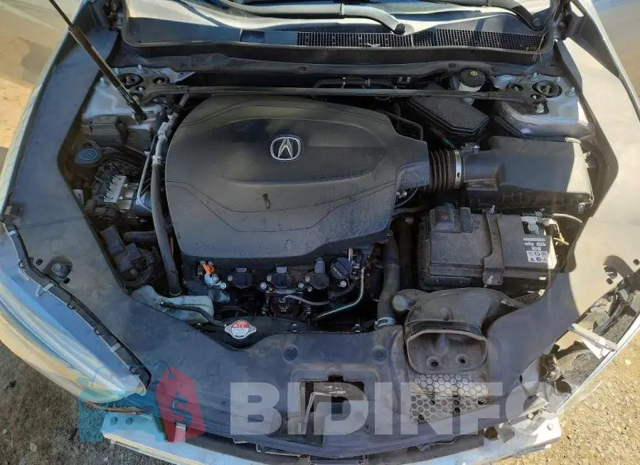 19UUB3F33KA006274 Photo# 11