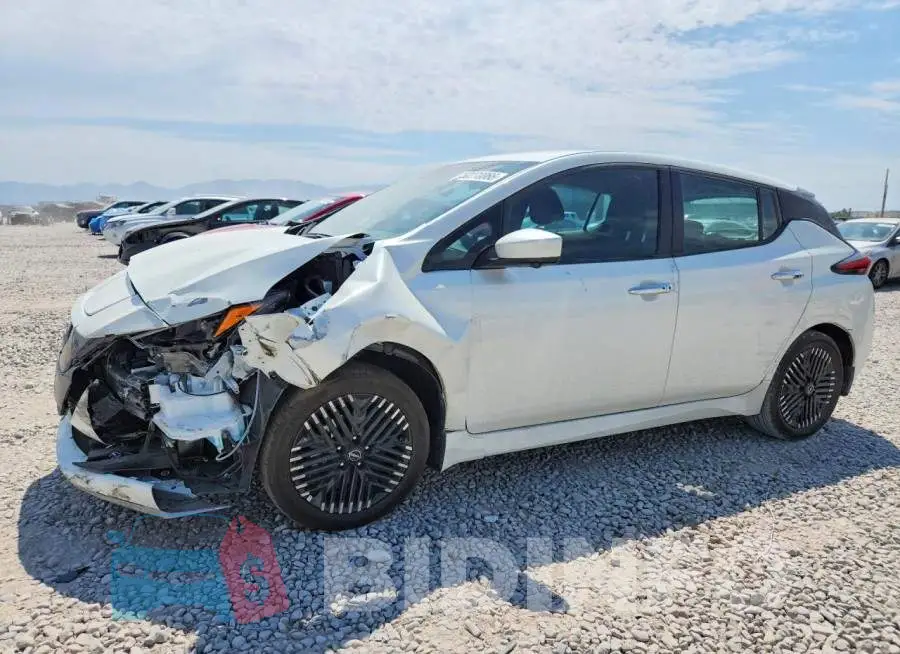 1N4CZ1CV8PC552389 Photo# 1