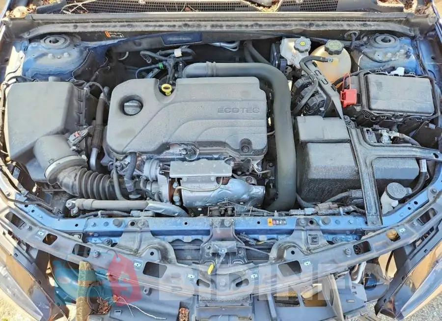 1G1ZD5ST1RF184643 Photo# 11