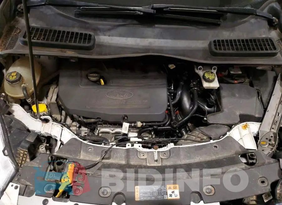 1FMCU9GD5HUB80686 Photo# 12