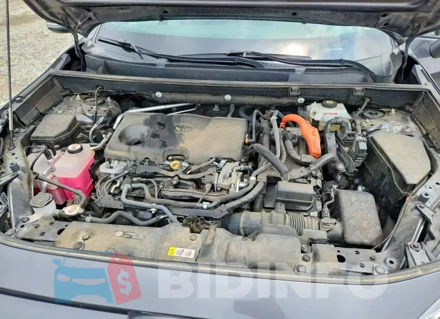 4T3E6RFV1MU053061 Photo# 12