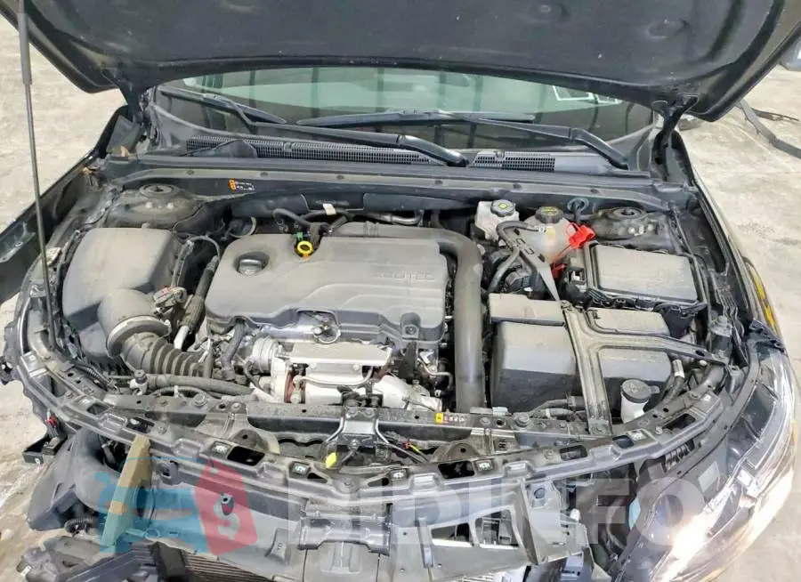 1G1ZD5ST5RF190882 Photo# 11