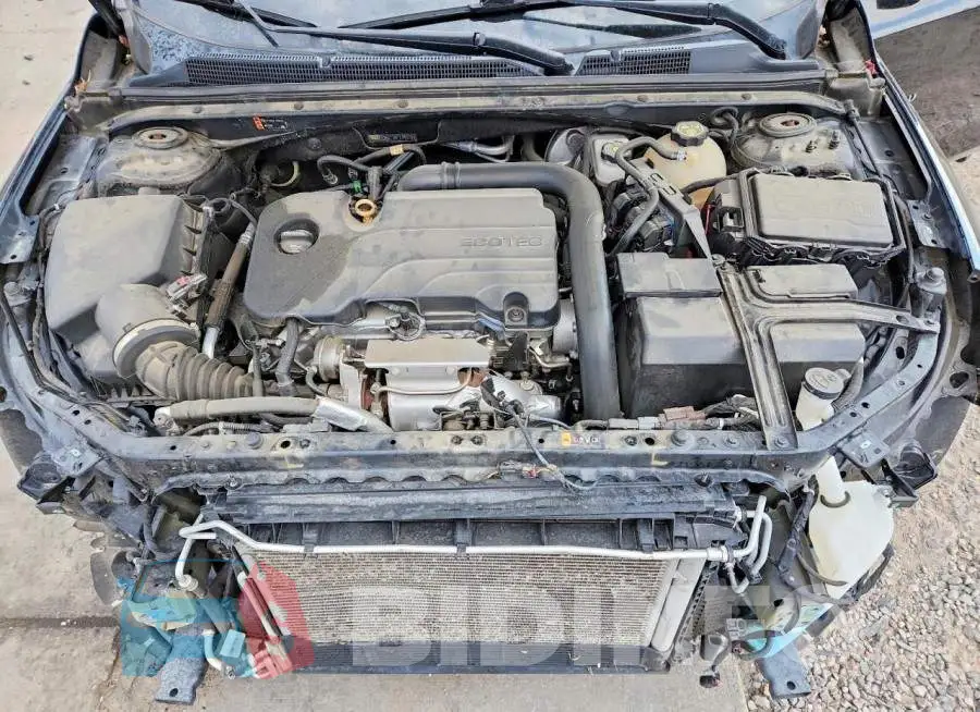 1G1ZD5ST7KF179078 Photo# 11