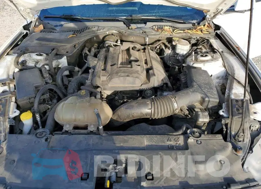 1FA6P8TH5J5171987 Photo# 11
