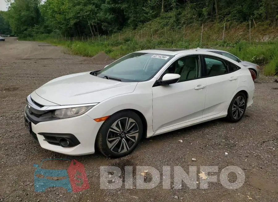 2HGFC1F35HH650167 Photo# 1