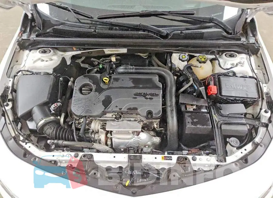 1G1ZD5ST3PF203027 Photo# 11